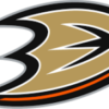Buy Anaheim Ducks Flag - NHL Flags - 1stchoiceflags