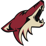 Buy Arizona Coyotes Flag - NHL Flags - 1stchoiceflags